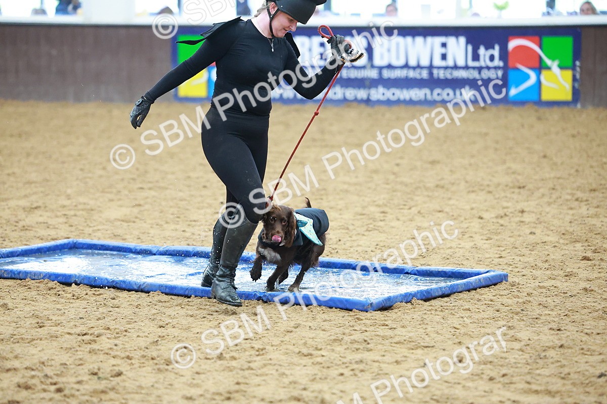 SBM_001738 - Class 3 - Horse & Hound (60cm)