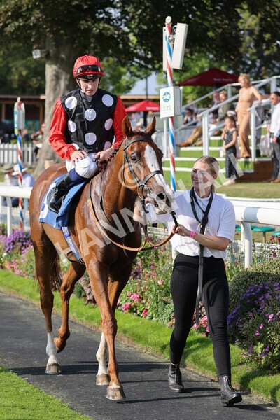 yr05092021r5-31 - Race 5 4.20pm Little Green Rascals Children's Nurseries Stakes