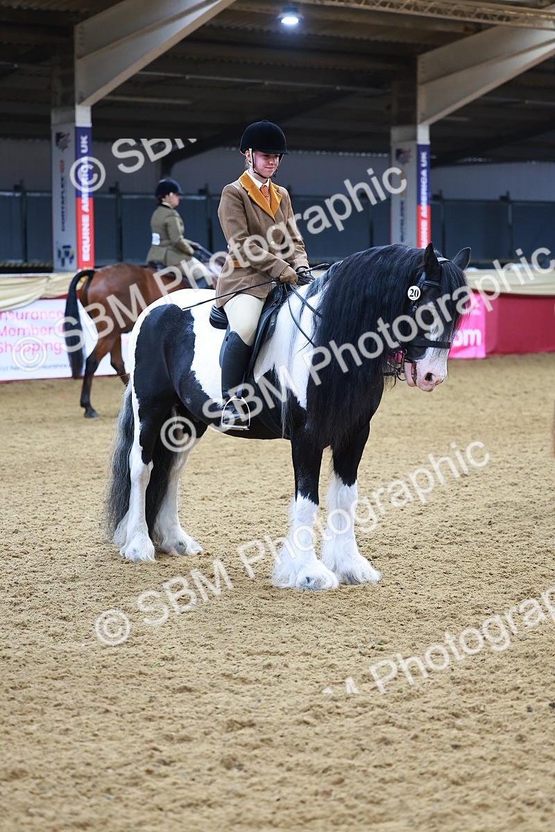 SBM_09825 - Class 102 - HOYS Veteran Qualifier - Ridden Veteran