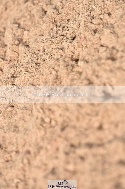 230810A-090436-00010 - Cls 8 British Novice & 90cm Open