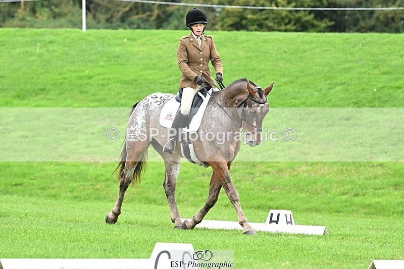 241024-105304-03078 - 501-Captain.Holly.Day-MUSTANG