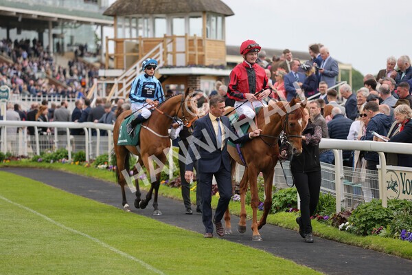 yr13052022r4-32 - Race 4 3.35pm The Paddy Power Yorkshire Cup (British Champions Series Race)