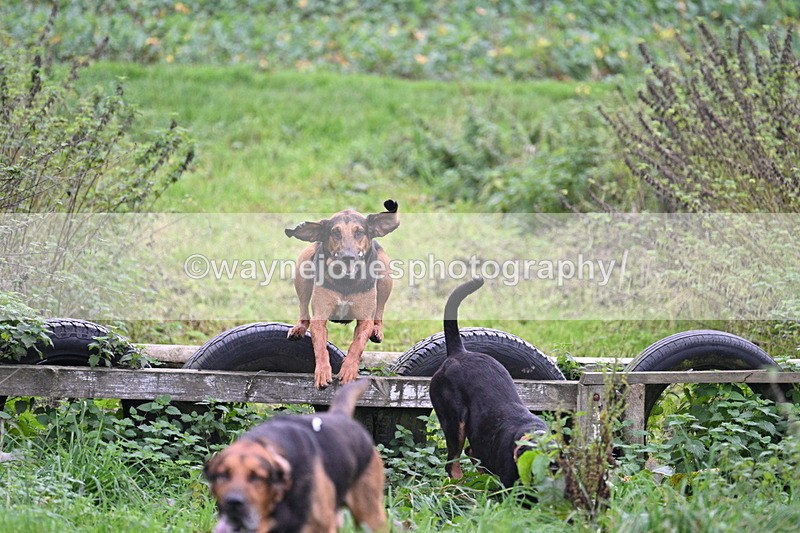 WJ7_8939 - Camera 1 only on this line