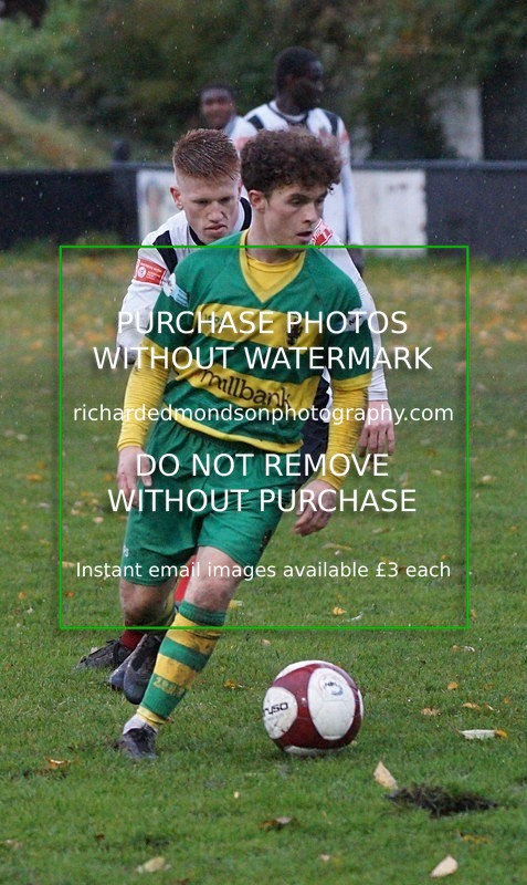 DSC02368 - Runcorn Linnets
