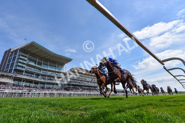 140525-Race 1-Almoshher-2 - Race 1 2.10pm Sky Bet Race To The Ebor Jorvik Handicap
