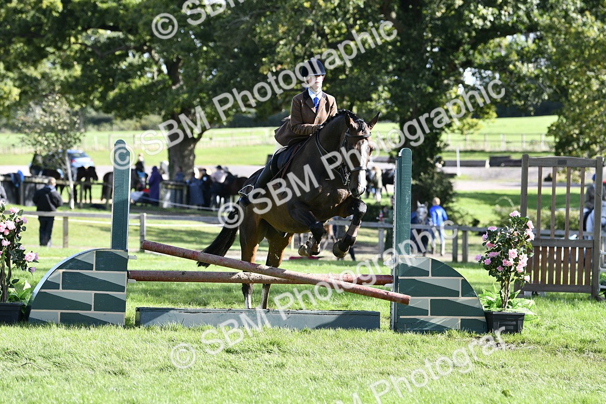SBM_50013 - S34 - Novice & Newcomers Working Hunter