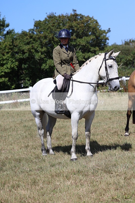 3E7A6459 - Working Hunter Championship