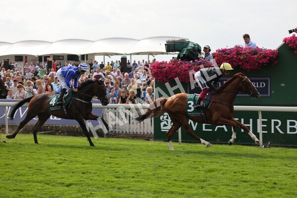 yr20082021r2-44 - Race 2 2.25pm Weatherbys Hamilton Lonsdale Cup (British Champion Series race)