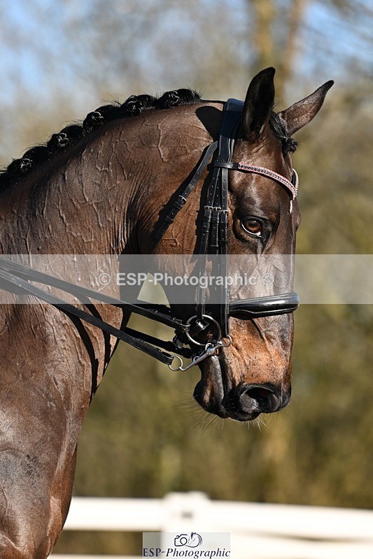 260214-095645-03357 - 001-Jane.Gregory