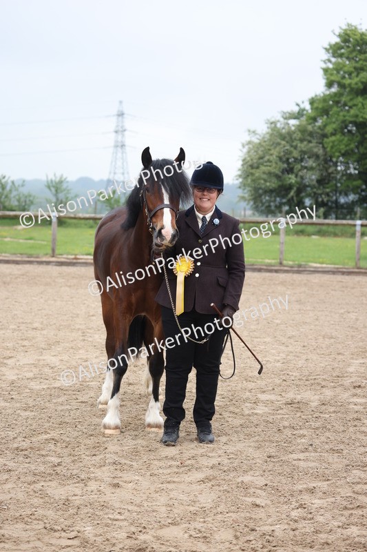 20260504-0203 - Class 2 - Youngstock