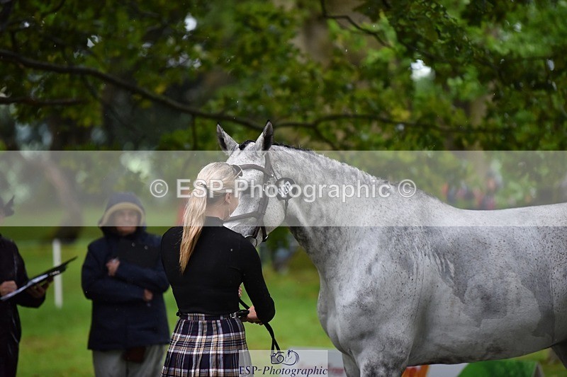 240522-152308-00299 - 327-COR_Y_TARAN-Toots_Bartlett