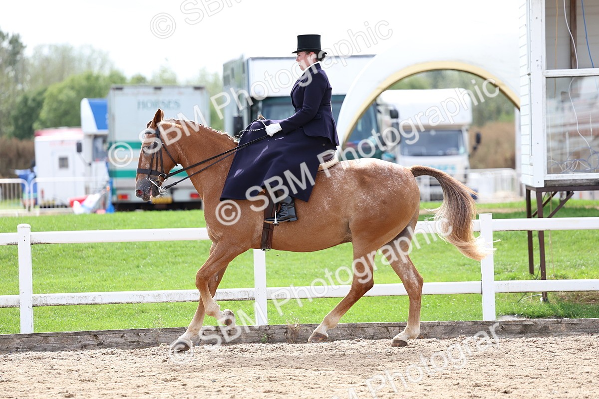 SBM_03324 - Class 23 - SSA Classical (any age)