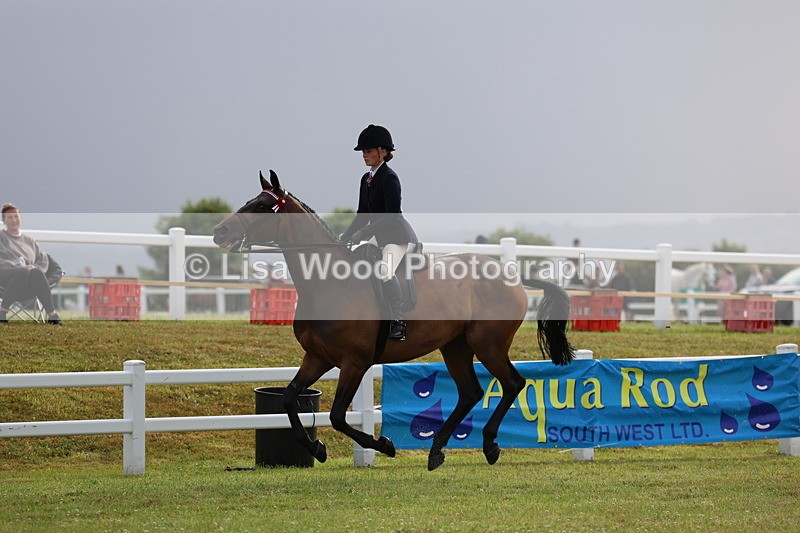 3E7A8083 - Class 2: Rising Star Large Hack/Riding Horse