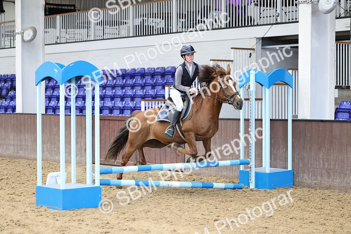 SBM_007782 - Class 3 - 60cm showjumping