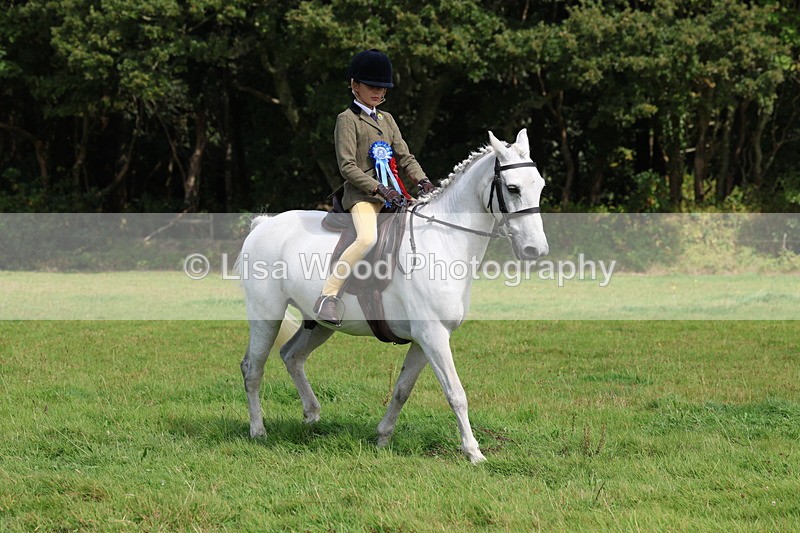 3E7A6038 - Working Hunter Championship