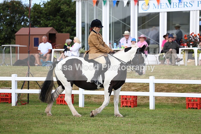 3E7A9610 - Class 5: Rising Star Lightweight/Heavyweight Cobs