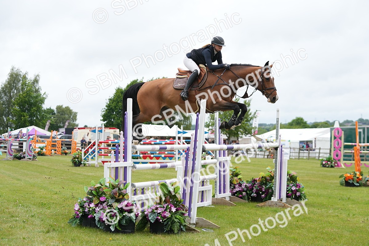 SBM_02998 - Class 201 - British Horse Feeds Speedi Beet Horse of the Year Show Grade  C