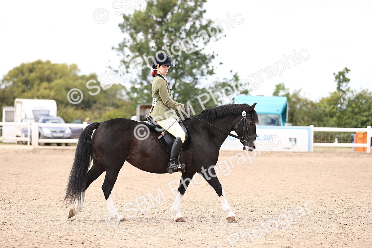 SBM_14185 - Class 415 - Horse-Pony judge would most like to take home (IH or Ridden)