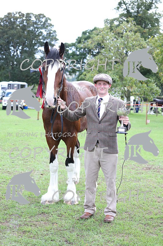 APP_3399 - Class 5 In Hand Championship