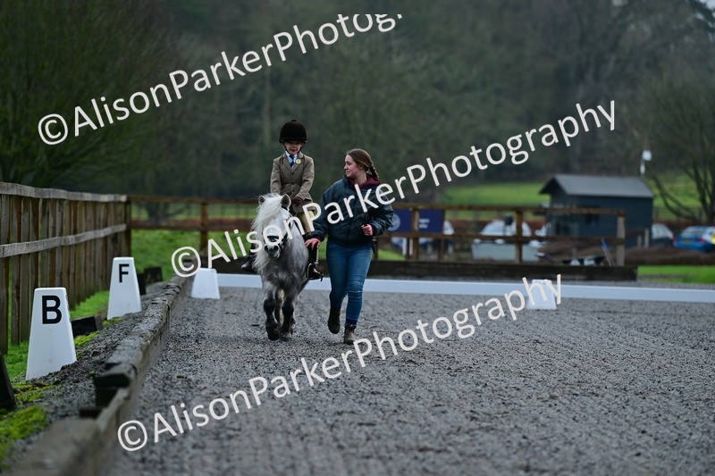 20260125-0791 - Class 9a - Walk Trot Assisted