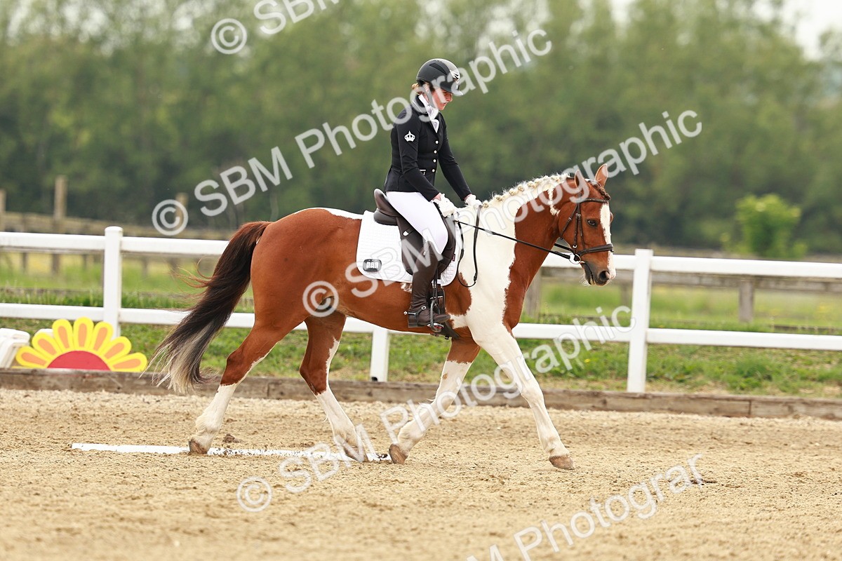 SBM_001193 - Class 6 - Novice 4