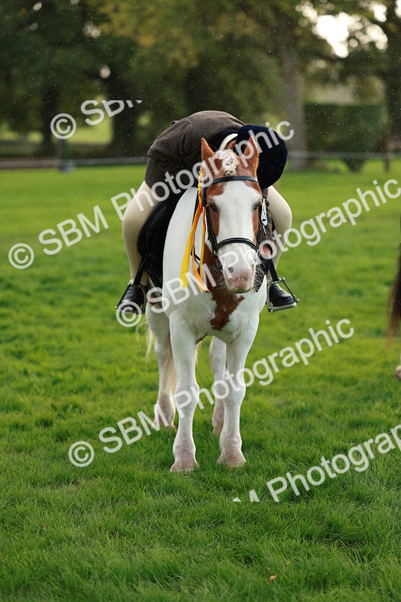 SBM_28905 - S7 - Novice & Newcomer Ridden Pony