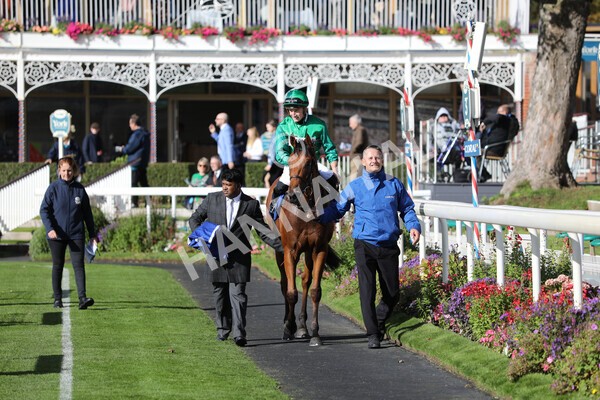 yr08102022r2-41 - Race 2 2.05pm The Coral Rockingham Stakes