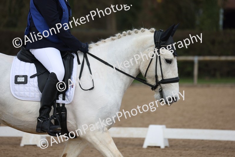 20260301-0103 - Class 2 - Prelim 5