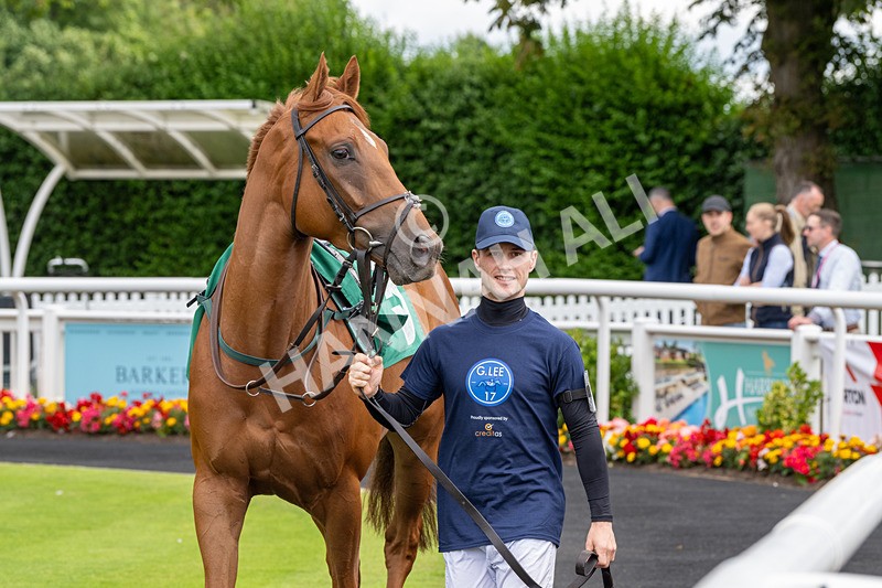 260724-Graham Lee Stable Staff Stakes-3042 - Graham Lee Stable Staff Stakes