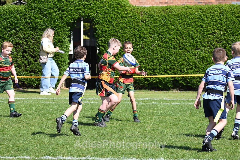  - Selby Rugby Festival 2025