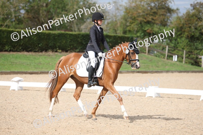 20260912-0593 - Class 5 - Novice 1