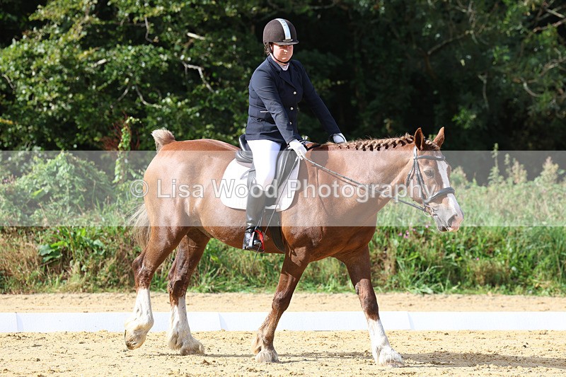 3E7A2261 - Class 1: Intro 4 2024 section A