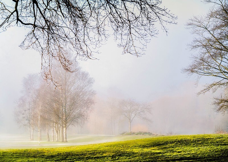 River mist Cahir park - WOODLAND AND PARKS (NEW WORK)