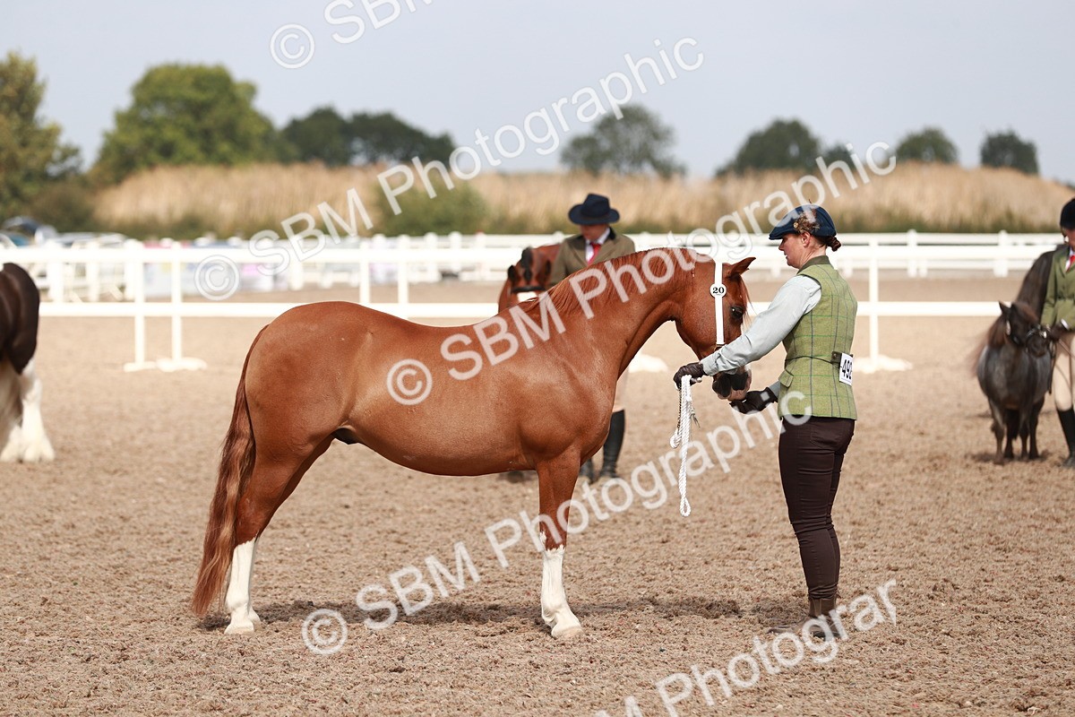 SBM_13926 - Class 209 IH Veteran Pony