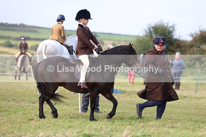 3E7A3411 - Class 2: Lead rein