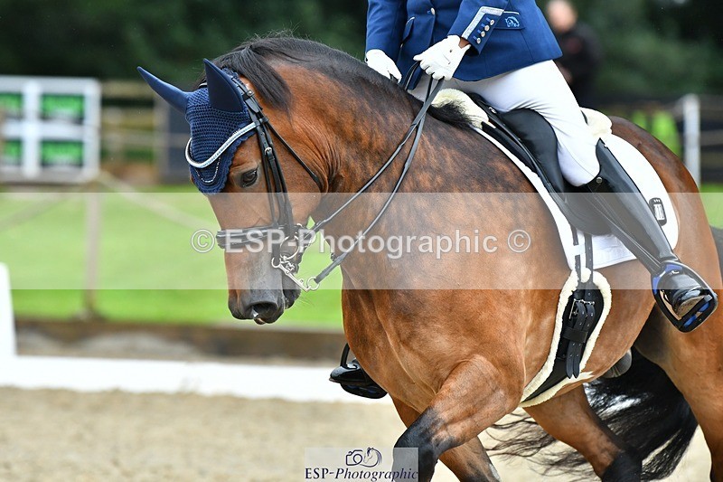 230722-161819-03905 - Cls 5, Elementary Silver 15.10 to End