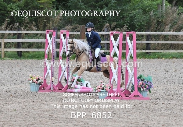 BPP_6852 - CLEAR ROUND