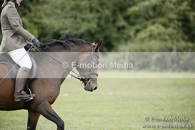 BVR080918 58 - BVRC Novice Dressage & CR 08/09/18