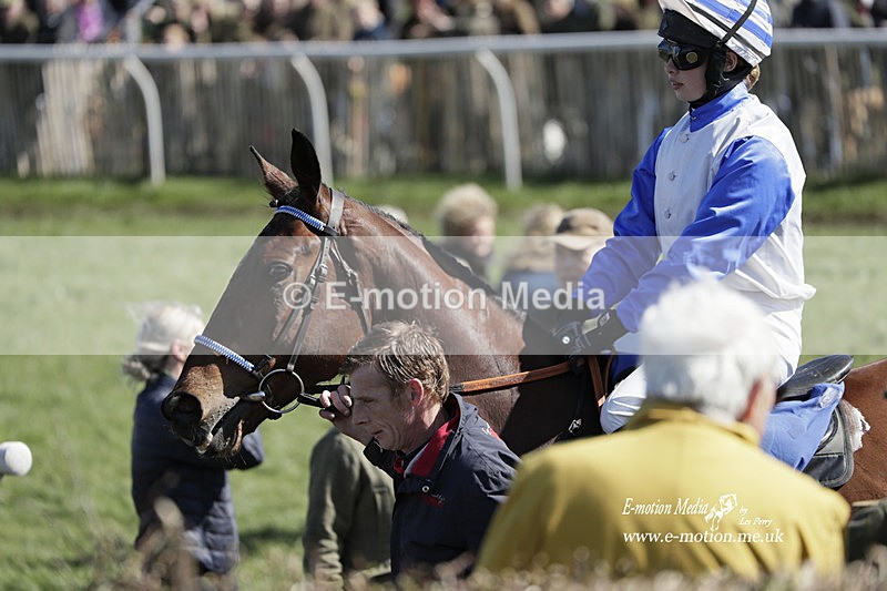 PtP 100423 598 - Old Berkshire Point-to-Point Lockinge 10/04/23