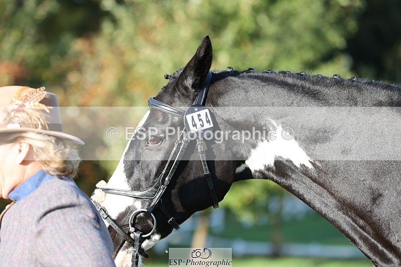 241027-093713-15396 - 454-Judy.Hollidge-CORBETT