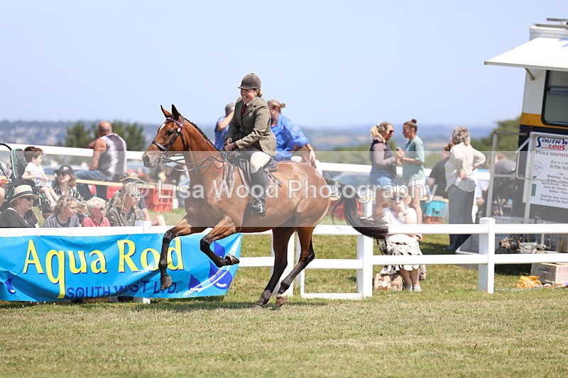 3E7A9365 - Class 12: Open Racehorse to Show Horse
