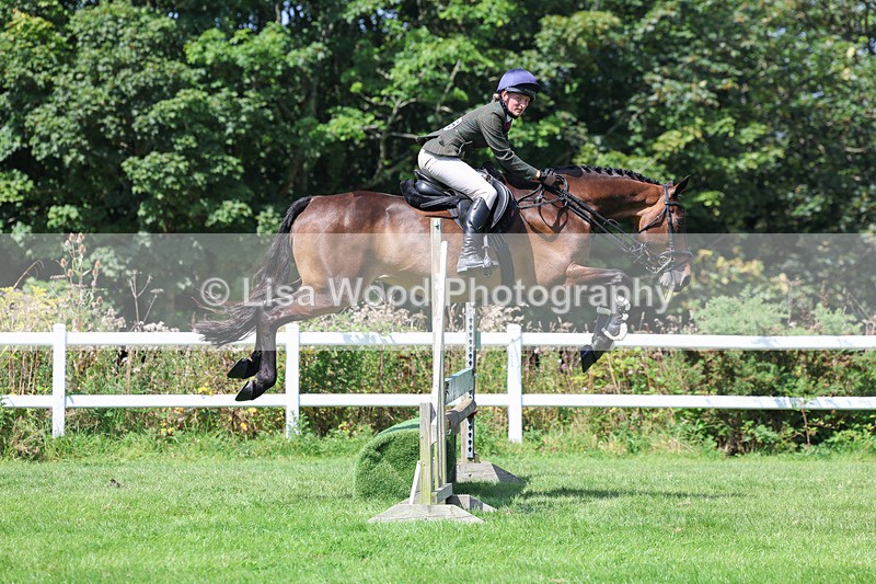 3E7A8912 - Class 6: Open Working Horse