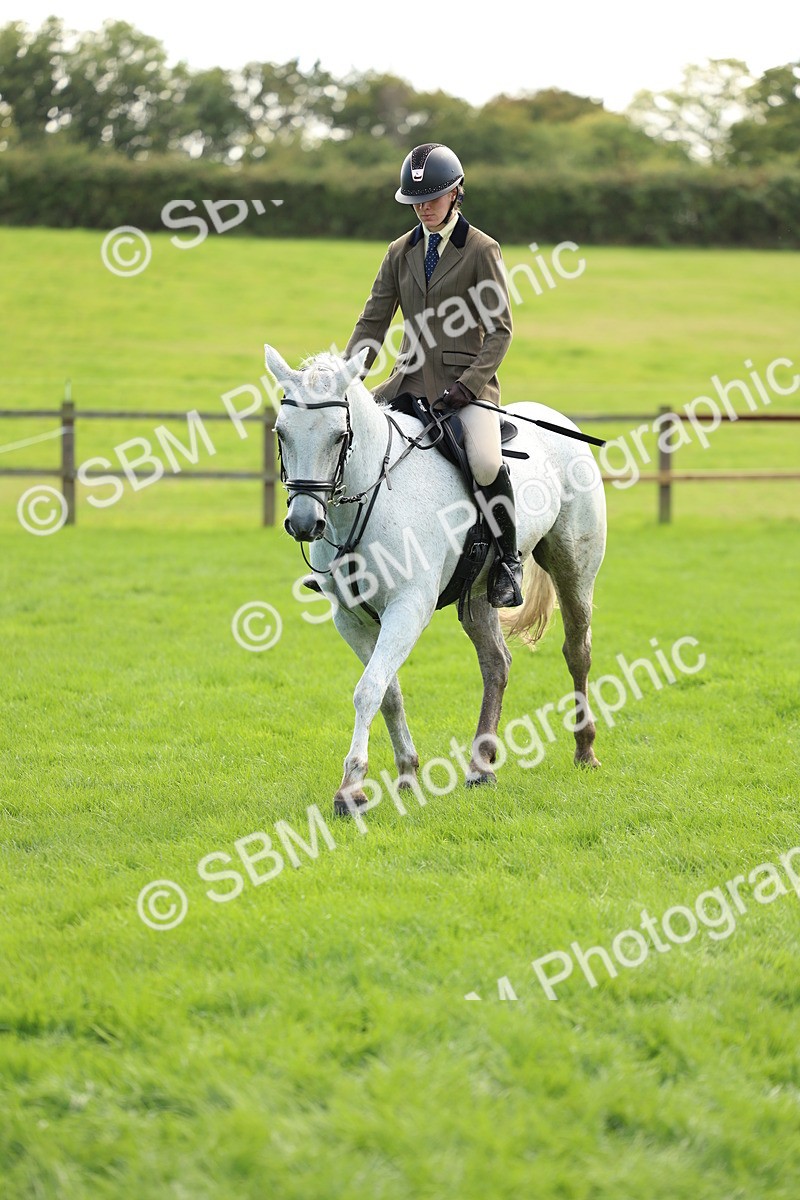 SBM_45528 - S33 - Working Hunter Pony