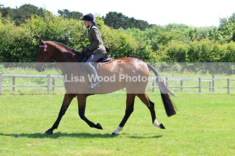 3E7A8070 - Working Hunter Championship