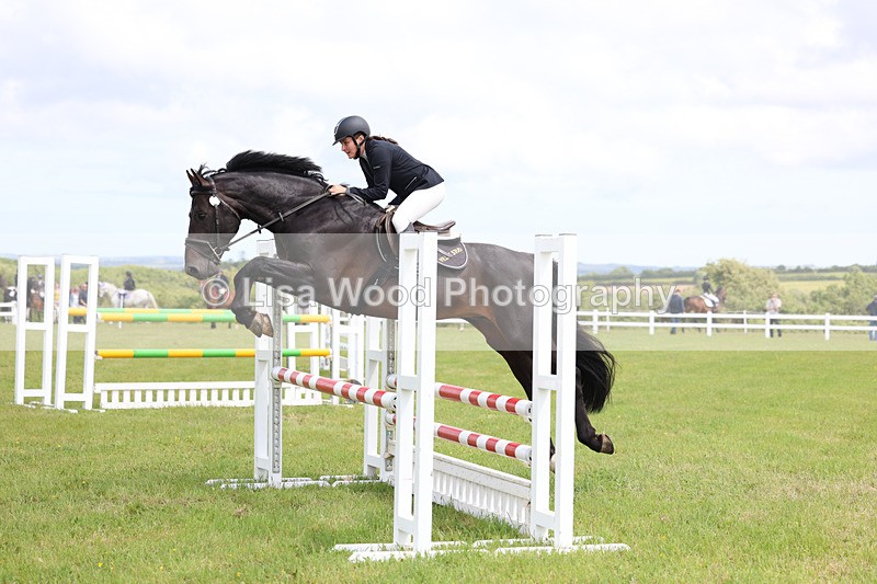 3E7A7462 - Class 13: Senior British Novice/90cm open