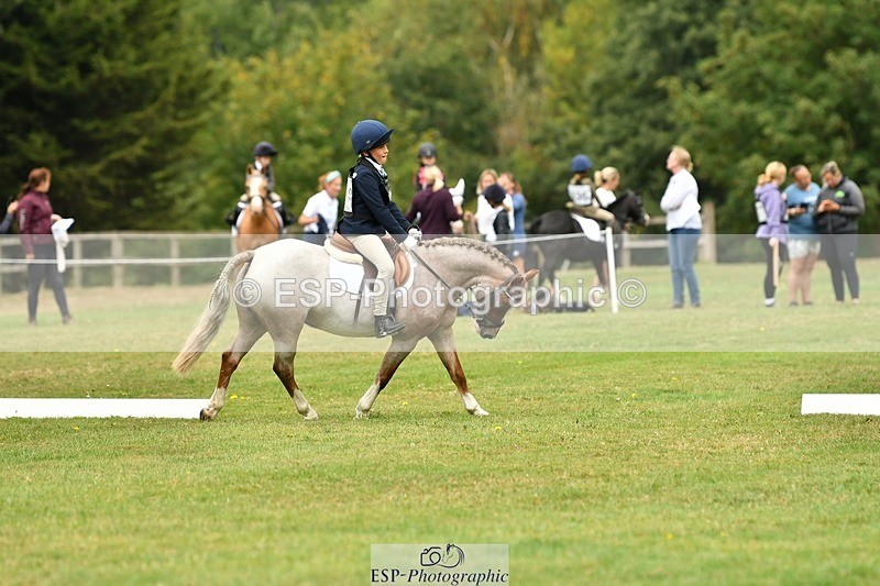 250820A-112028-05013 - 11am to 12