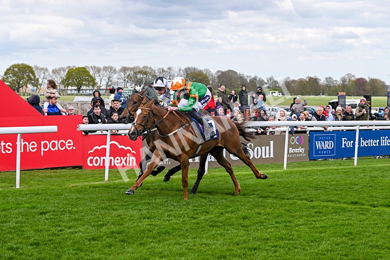 160425-Race 4-Wilhelmina-3093 - Race 4