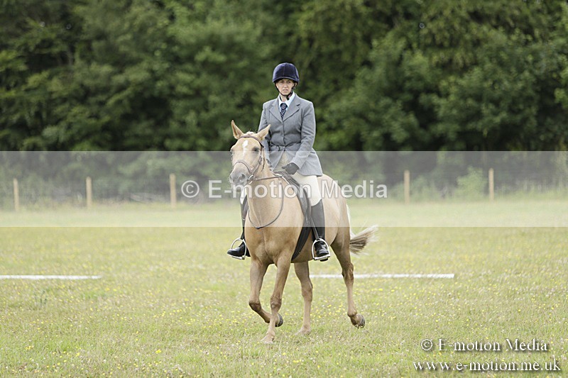 BVR160717-1190 - Class 2 Dressage 16/07/17