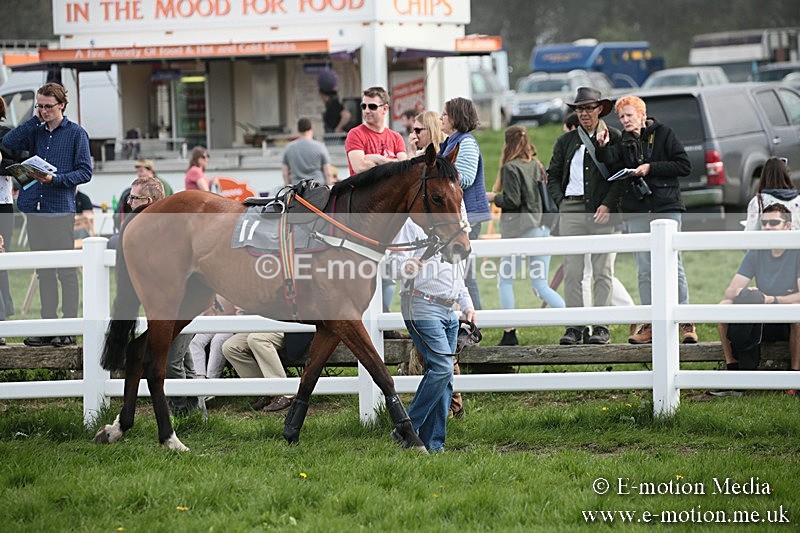 PtP 210418 303 - South & West Wilts Point-to-Point Larkhill 21/04/18