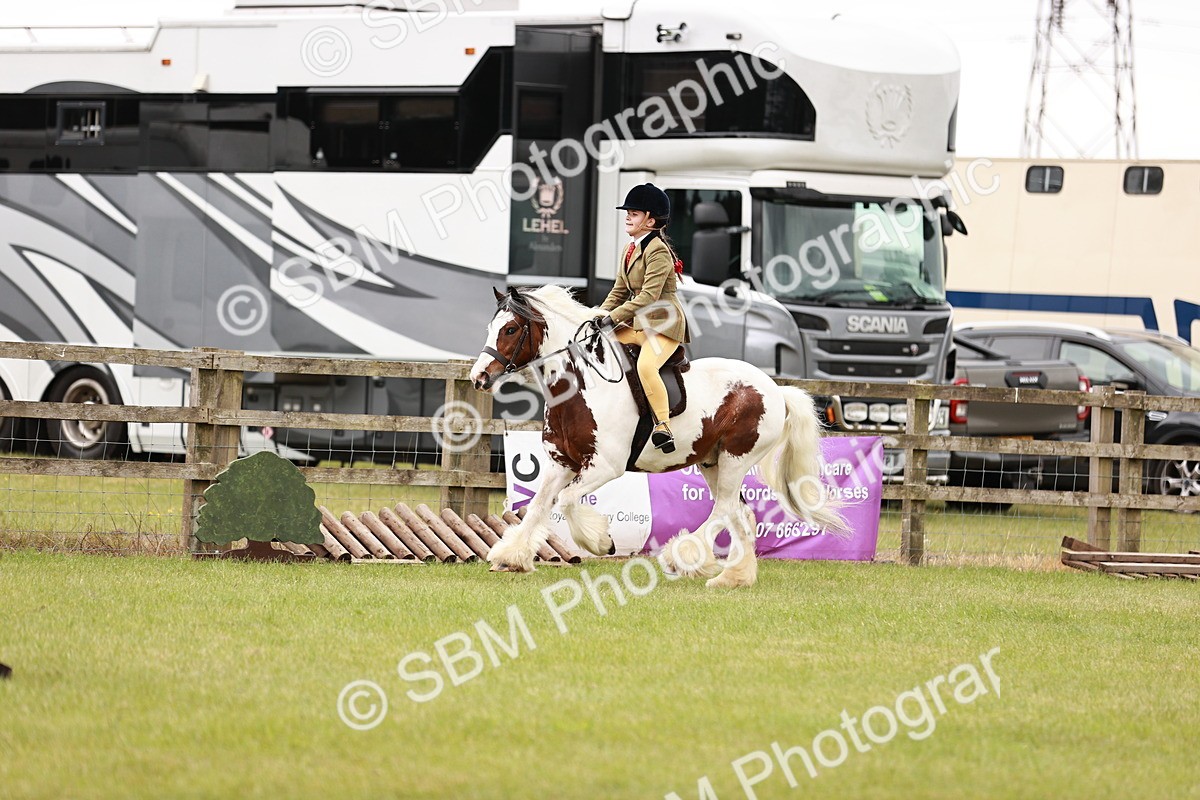 SBM_06150 - Class 39-41 TGCA In Hand and Ridden